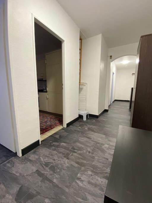 Fain Apartments 美因河畔法兰克福 外观 照片
